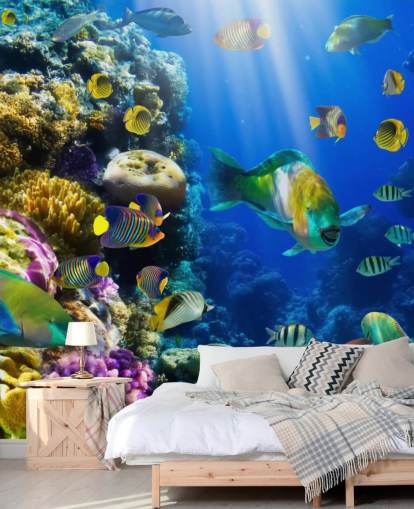 Korallen und Fische Wallpaper