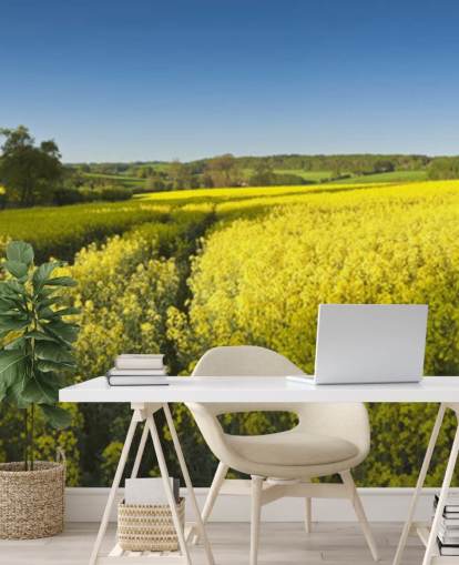 Fondo de pantalla de flores de colza en campo