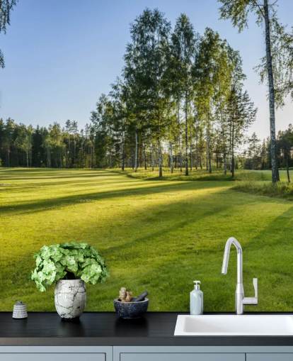 Fondo de pantalla de golf Fondo de pantalla de golf