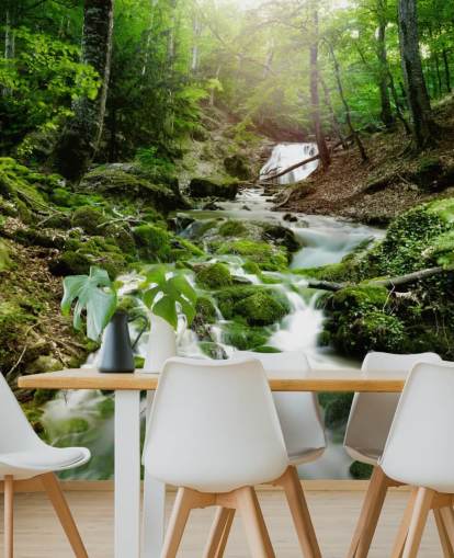 carta da parati murale con cascata verde chiamata Foggy Forest Waterfall per uffici e bagni