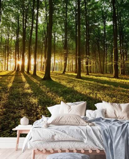 carta da parati murale con albero verde personalizzabile chiamata Rays of Light for office carta da parati murale con albero verde personalizzabile chiamata Rays of Light for office