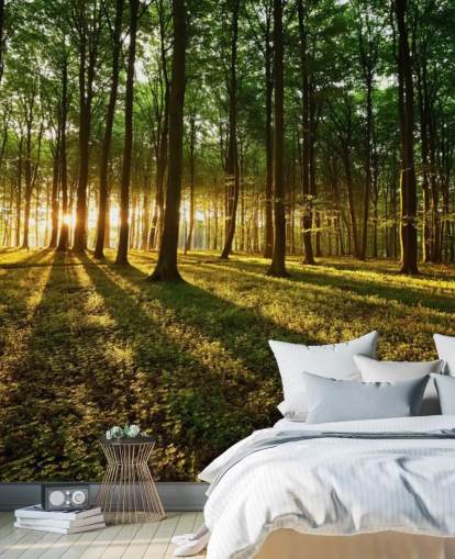 groene aanpasbare boombehangmuurschildering genaamd Rays of Light voor op kantoor