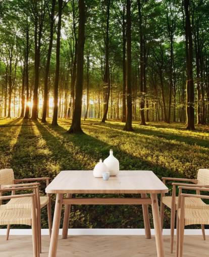 green customisable tree wallpaper mural called Rays of Light for office green customisable tree wallpaper mural called Rays of Light for office