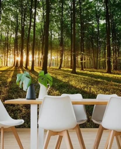 mural de papel de parede de árvore verde personalizável chamado Rays of Light para escritório mural de papel de parede de árvore verde personalizável chamado Rays of Light para escritório