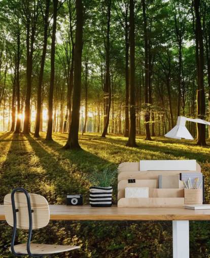 green customizable tree wallpaper mural called Rays of Light for office