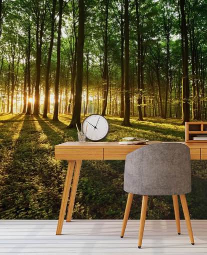 papier peint mural vert en forme d'arbre personnalisable appelé Rays of Light pour le bureau