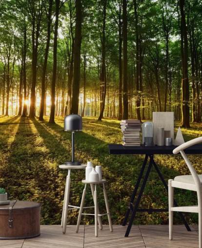 green customizable tree wallpaper mural called Rays of Light for office