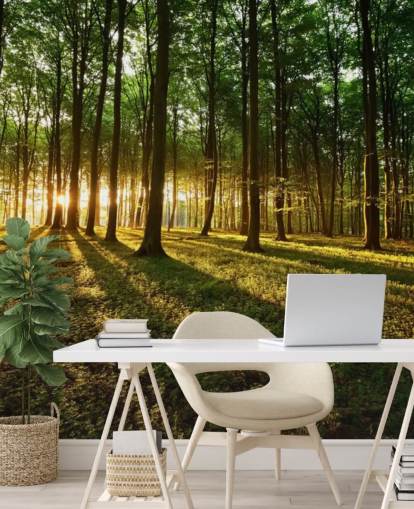 grüne, individuell gestaltbare Baumtapete mit dem Titel Rays of Light für das Büro grüne, individuell gestaltbare Baumtapete mit dem Titel Rays of Light für das Büro