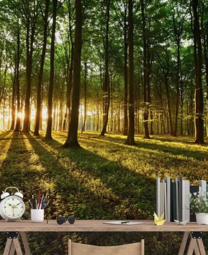 green customizable tree wallpaper mural called Rays of Light for office