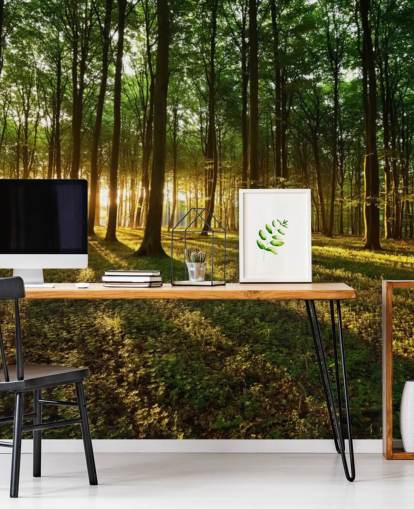 mural de papel pintado de árbol personalizable verde llamado Rays of Light para oficina