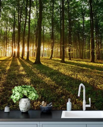 green customisable tree wallpaper mural called Rays of Light for office