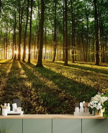 papier peint mural vert en forme d'arbre personnalisable appelé Rays of Light pour le bureau