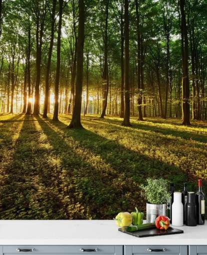 carta da parati murale con albero verde personalizzabile chiamata Rays of Light for office