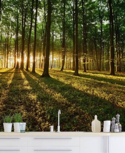 grüne, individuell gestaltbare Baumtapete mit dem Titel Rays of Light für das Büro