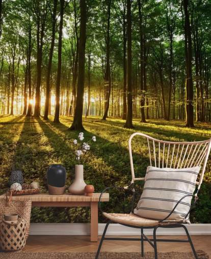 papier peint mural vert en forme d'arbre personnalisable appelé Rays of Light pour le bureau