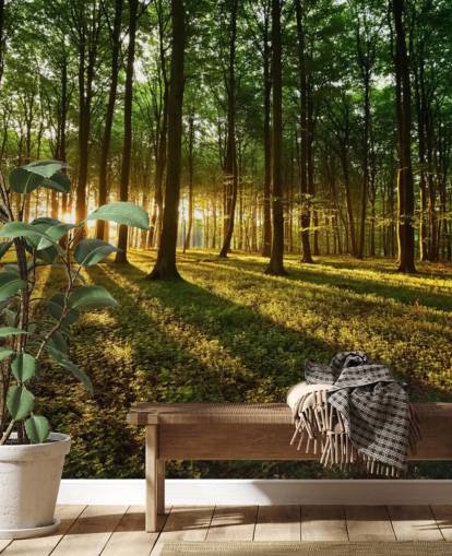 carta da parati murale con albero verde personalizzabile chiamata Rays of Light for office