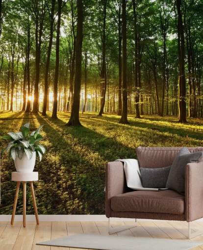 green customizable tree wallpaper mural called Rays of Light for office
