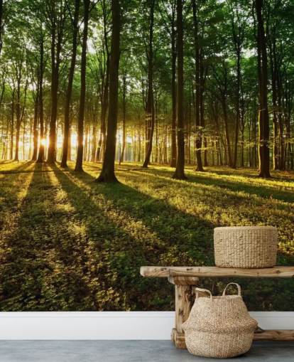 grønt tilpasseligt træ tapet vægmaleri kaldet Rays of Light til kontor