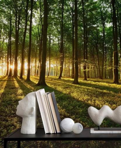 carta da parati murale con albero verde personalizzabile chiamata Rays of Light for office