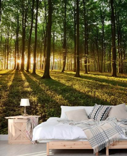 green customisable tree wallpaper mural called Rays of Light for office