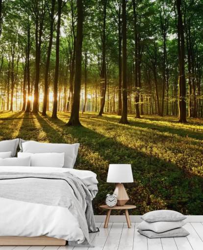 mural de papel de parede de árvore verde personalizável chamado Rays of Light para escritório