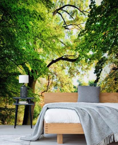 Park Path and Tree Wallpaper