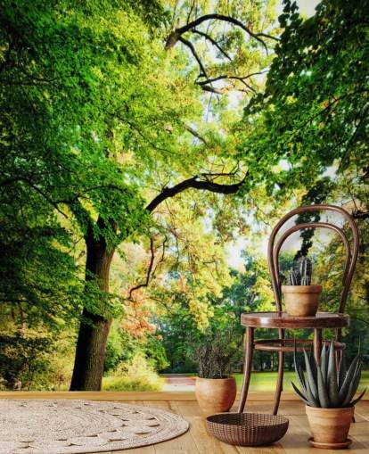 Fondo de pantalla de parque y árbol