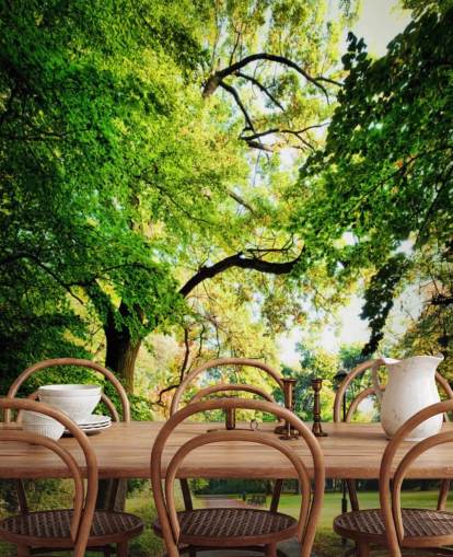 Fondo de pantalla de parque y árbol