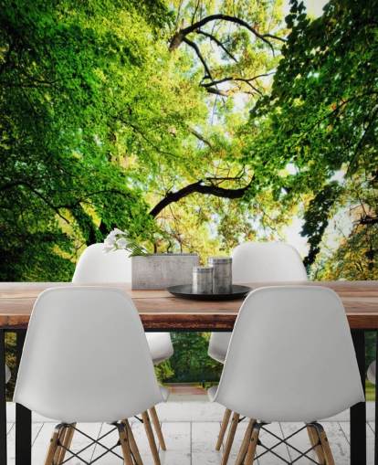 Park Path and Tree Wallpaper