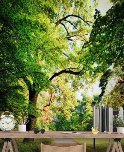 Park Path og Tree Baggrund Park Path og Tree Baggrund