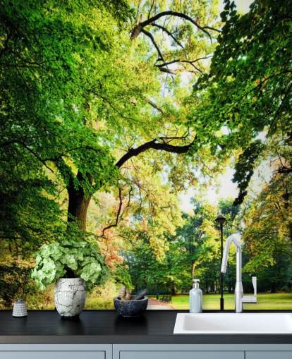 Park-Pfad und Baum-Tapete Park-Pfad und Baum-Tapete