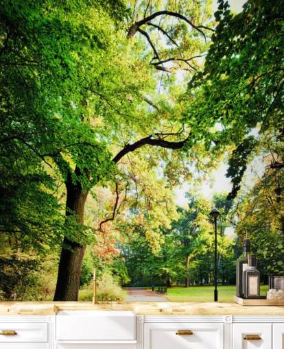 Park Path and Tree Wallpaper