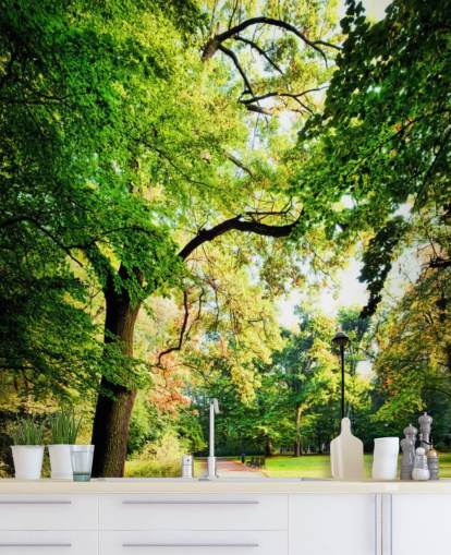 Park Path and Tree Wallpaper