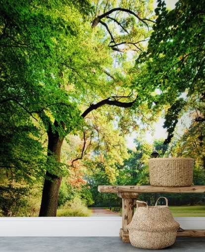 Fondo de pantalla de parque y árbol