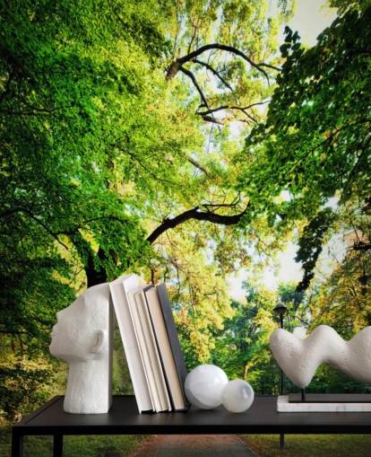 Park Path och träd Bakgrund