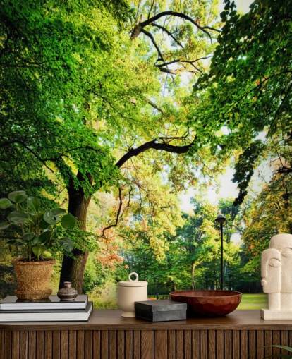 Park Path and Tree Wallpaper