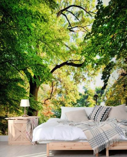 Park Path and Tree Wallpaper