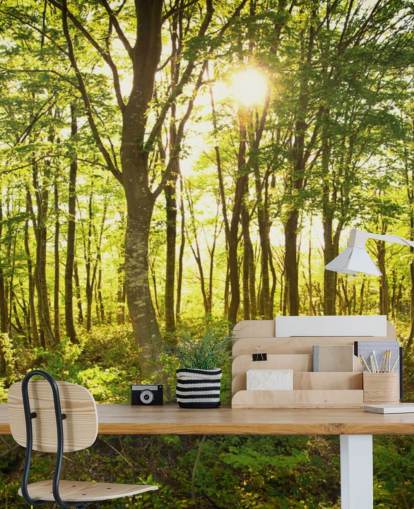 grön och brun anpassningsbar skogstapetväggmålning kallad Enchanted Woodland för hem eller kontor