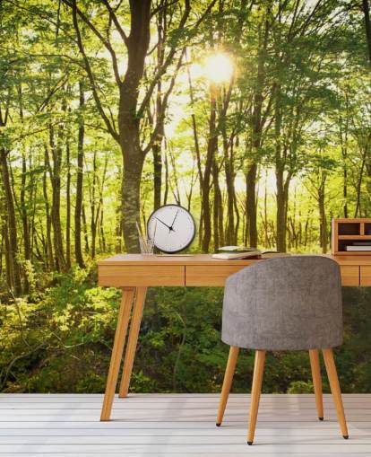green and brown customisable woodland wallpaper mural called Enchanted Woodland for home or office