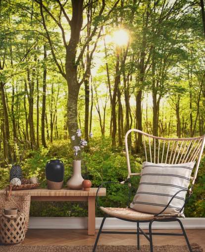 papier peint mural boisé personnalisable vert et marron appelé Enchanted Woodland pour la maison ou le bureau