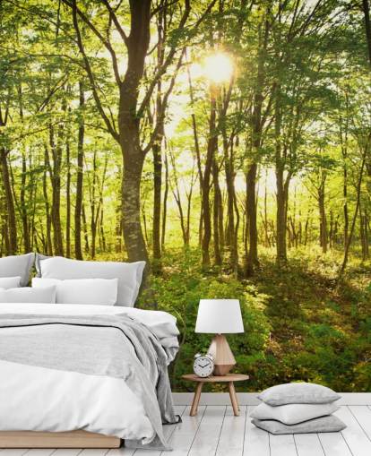 green and brown customisable woodland wallpaper mural called Enchanted Woodland for home or office