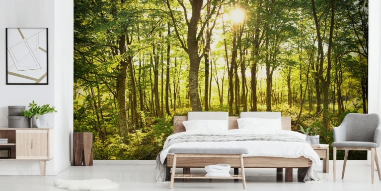 Bedroom Wallpaper & Wall Mural | Wallsauce UK