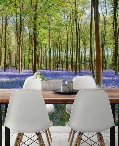 Grünes und blaues, anpassbares Wald-Tapeten-Wandbild mit dem Namen Bluebells in Wepham Woods für Schlafzimmer Grünes und blaues, anpassbares Wald-Tapeten-Wandbild mit dem Namen Bluebells in Wepham Woods für Schlafzimmer