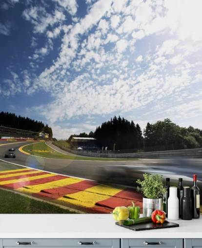 F1 Race Course Wallpaper