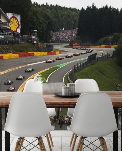 Zoomed Out Image of F1 Race Track Wallpaper