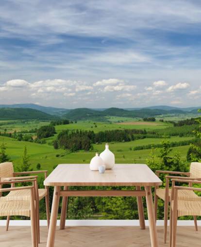 blå og grøn brugerdefineret skov tapet kaldet Summer Vista til kontorer