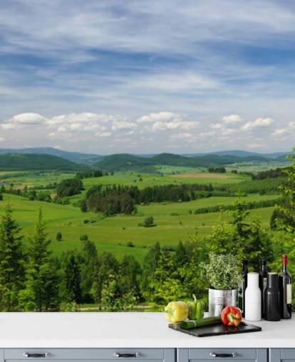 carta da parati forestale personalizzata blu e verde chiamata Summer Vista per uffici