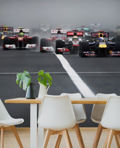 formula one wallpaper mural called Hungarian Grand Prix 2011 by Darren Heath for bedrooms and home offices