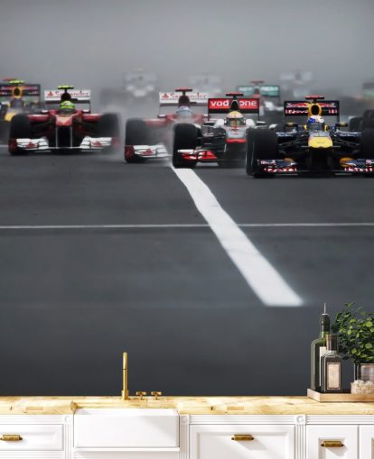 formula one wallpaper mural called Hungarian Grand Prix 2011 by Darren Heath for bedrooms and home offices