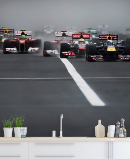 formula one wallpaper mural called Hungarian Grand Prix 2011 by Darren Heath for bedrooms and home offices